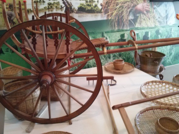 expo 2015_21