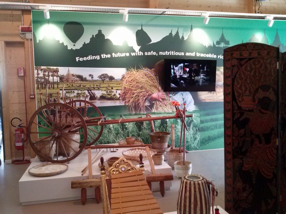 expo 2015_23