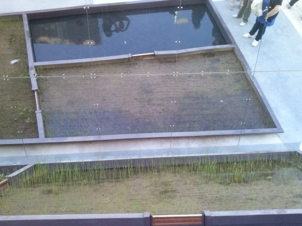 expo 2015_24