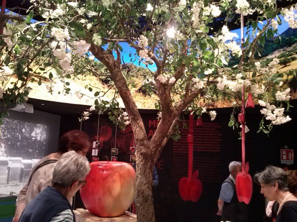 expo 2015_45