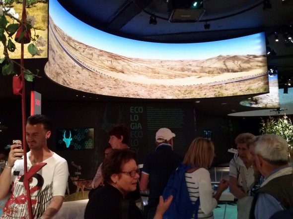 expo 2015_47