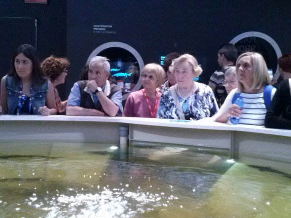 expo 2015_51