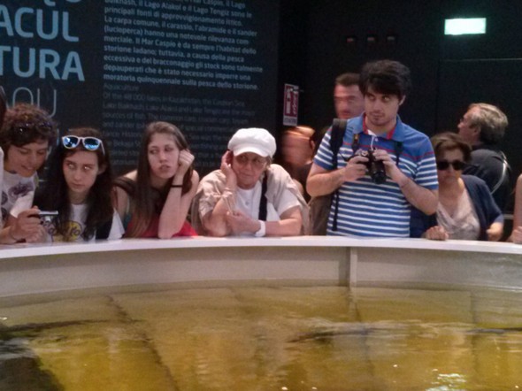 expo 2015_54