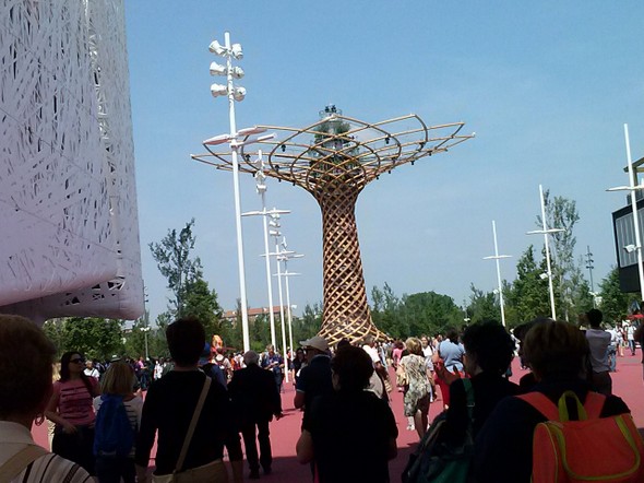 expo 2015_56
