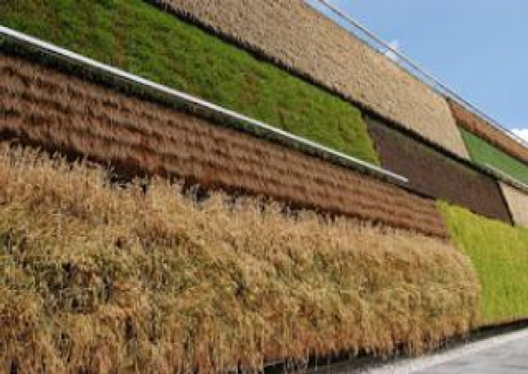 expo 2015_66